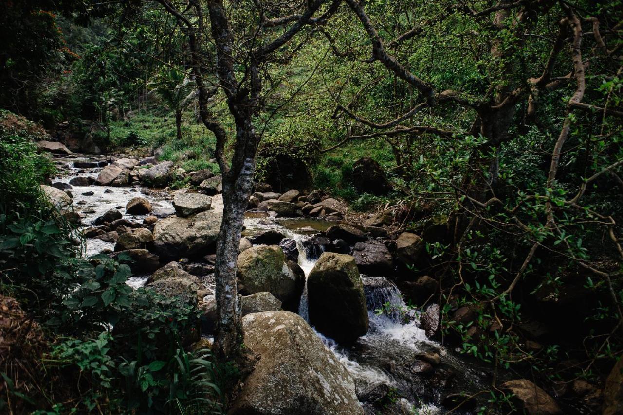 River House 埃拉 外观 照片